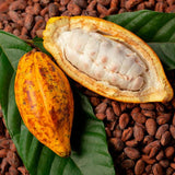 Cacao
