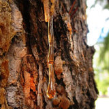 Bois d'ambre